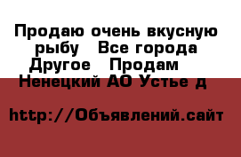 Продаю очень вкусную рыбу - Все города Другое » Продам   . Ненецкий АО,Устье д.